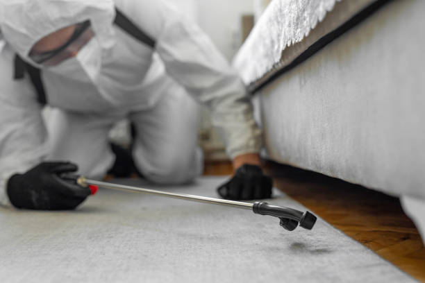 Professional Bed Bug Control technician working in Dolgeville, NY