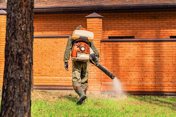 Trusted Termite Control service in Dolgeville, NY - Nex Pest Control
